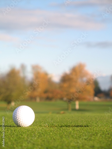 Beside the hole on the green