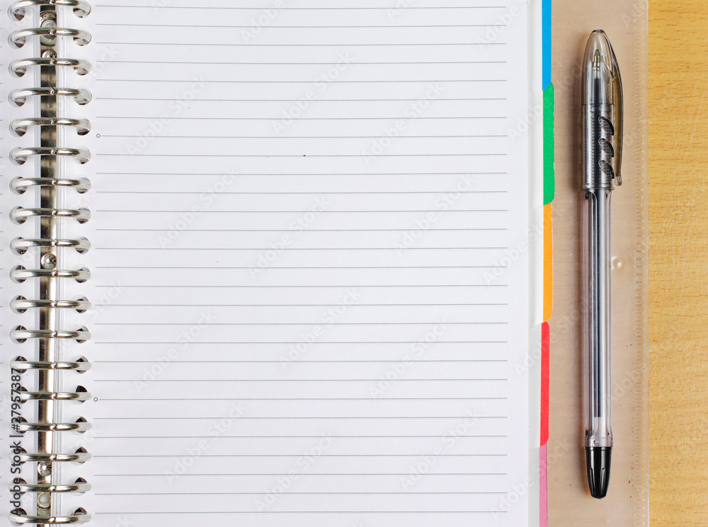 Binder with pen
