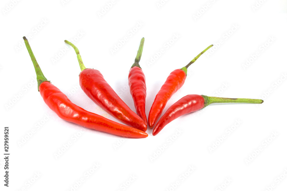 Red chili peppers on a white background. Red chili peppers on a white background.