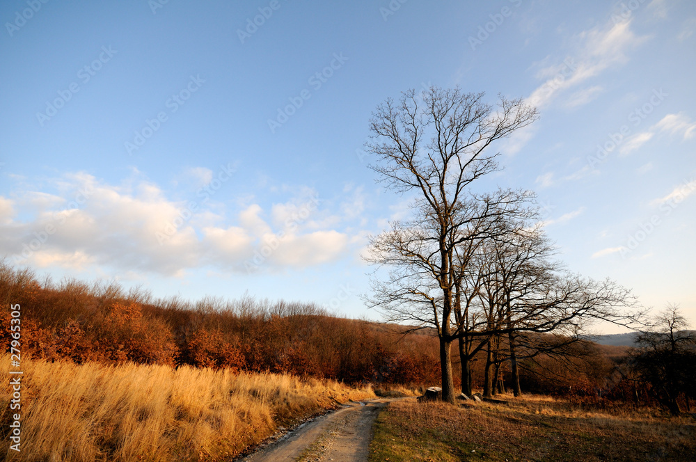 countryland countryland