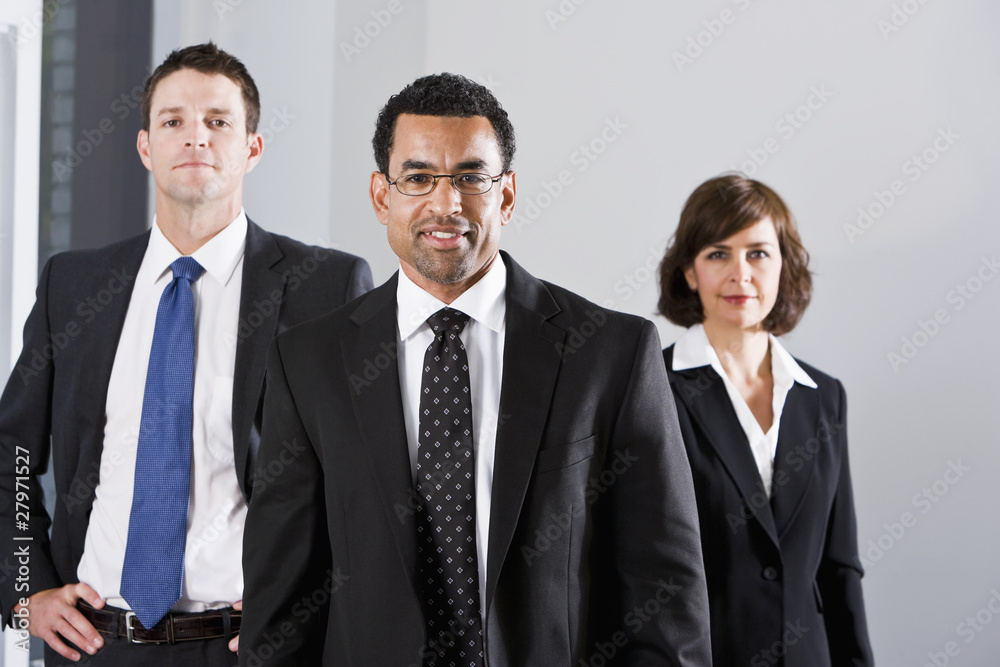 Diverse businesspeople in suits Diverse businesspeople in suits