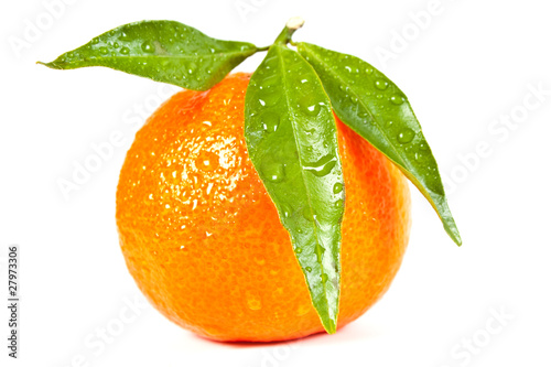 Wet tangerine