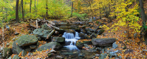 Autumn creek panorama with yellow maple trees #27973993