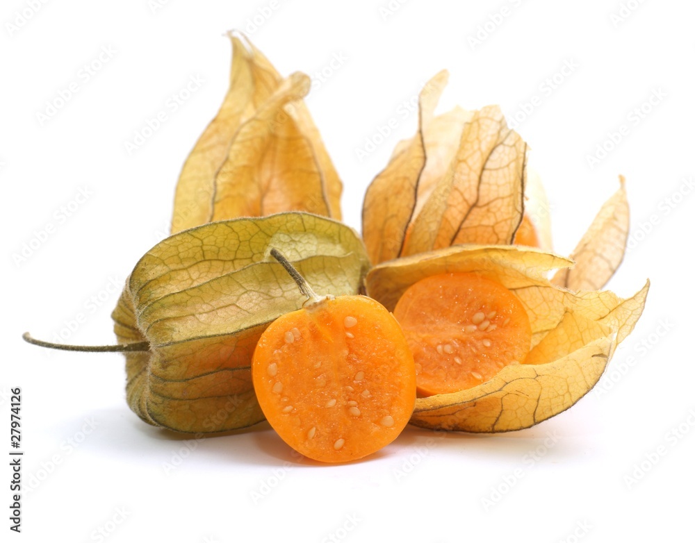 Physalis Physalis