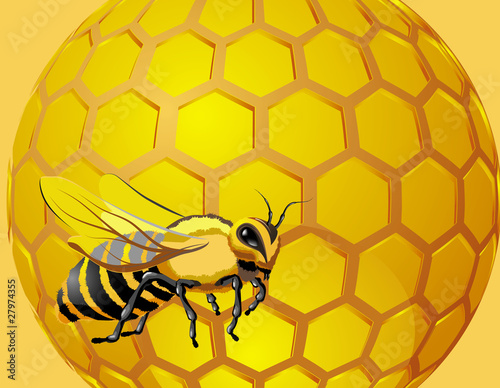 Bee with drops of honey and honeycomb hexagon shapes