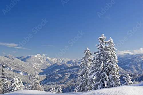 Winterzauber © Hans und Christa Ede