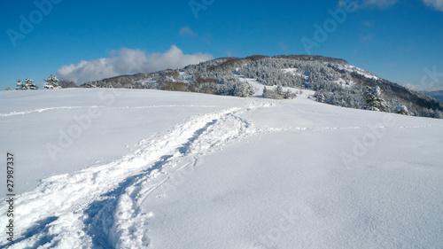 Path in snow leading to top of the mountain © jakazvan
