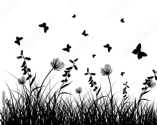 meadow silhouettes