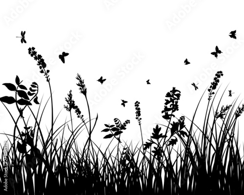 meadow silhouettes © Konovalov Pavel