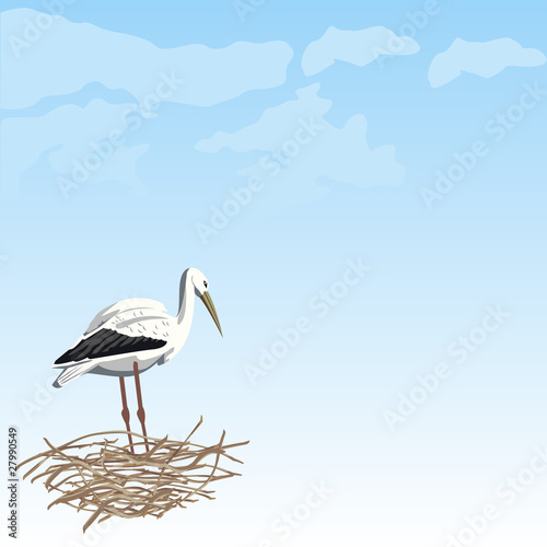 White stork in a nest