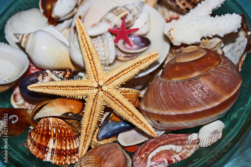 Star and sea photo
