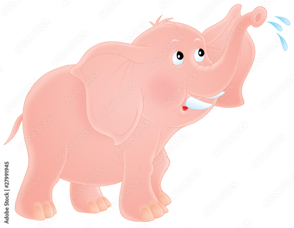 Fototapeta premium Elephant
