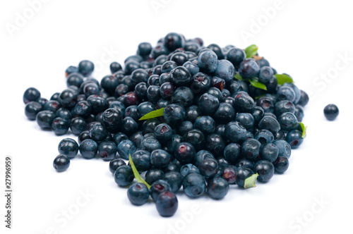 Bilberry