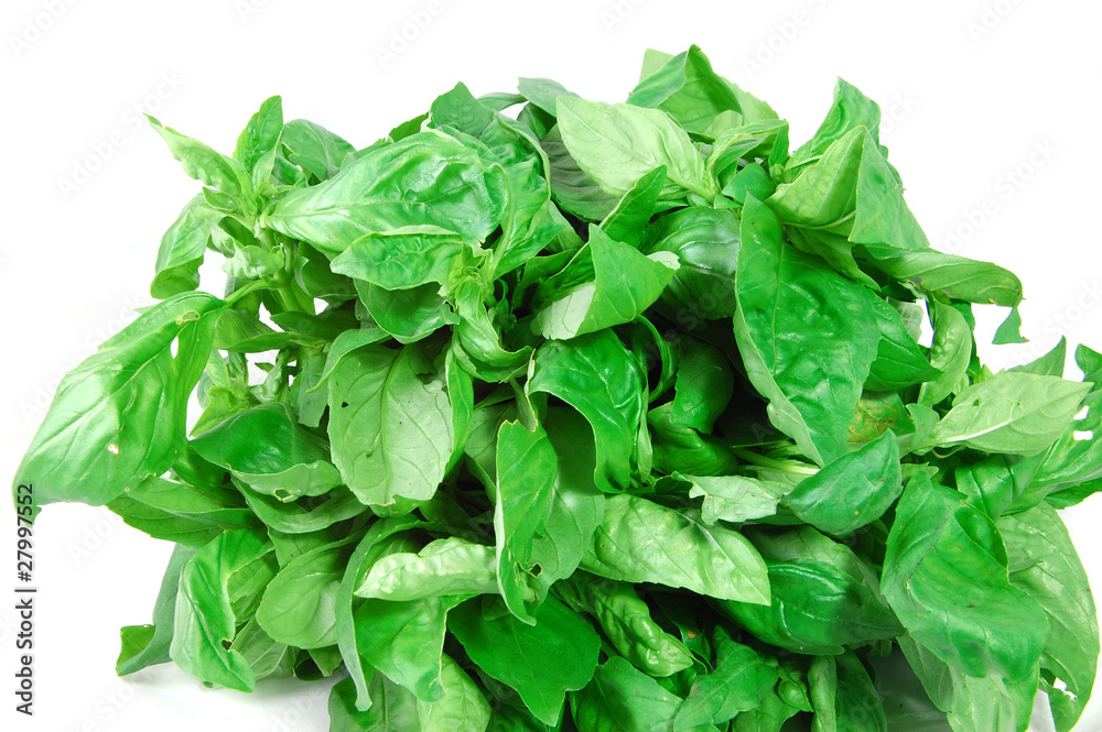 Basil leaves