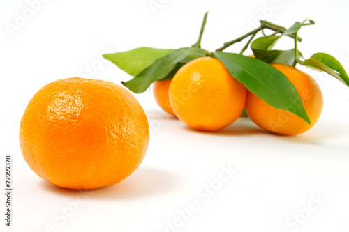 clementinen #6