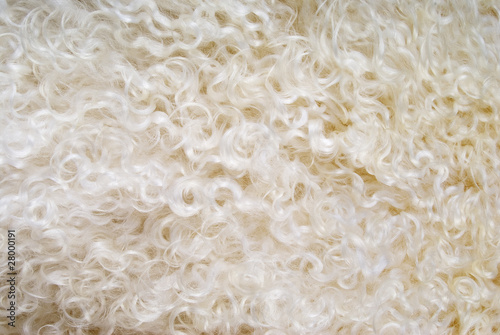 Background of sheepskin for collages or other works of art