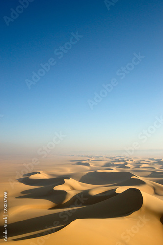 Sahara desert #28007996