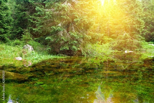 Fototapeta Naklejka Na Ścianę i Meble -  sun reflection in a forest lake