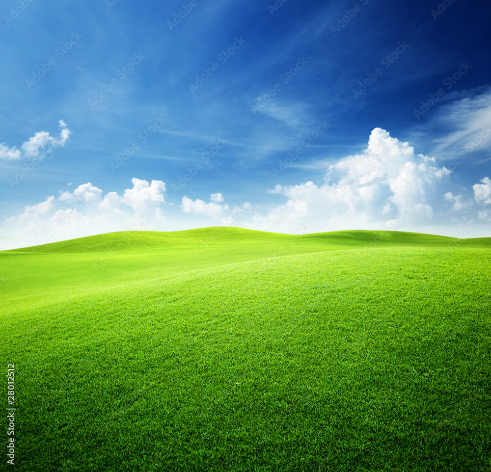 green field and blue sky - obrazy, fototapety, plakaty 