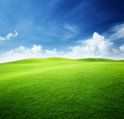 green field and blue sky