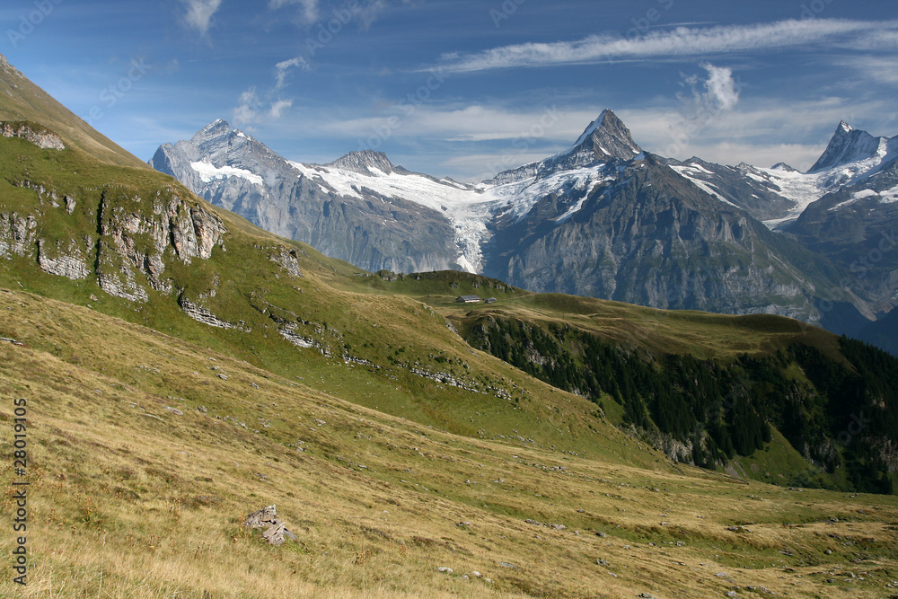 This is a hiking trail near Grindelwald