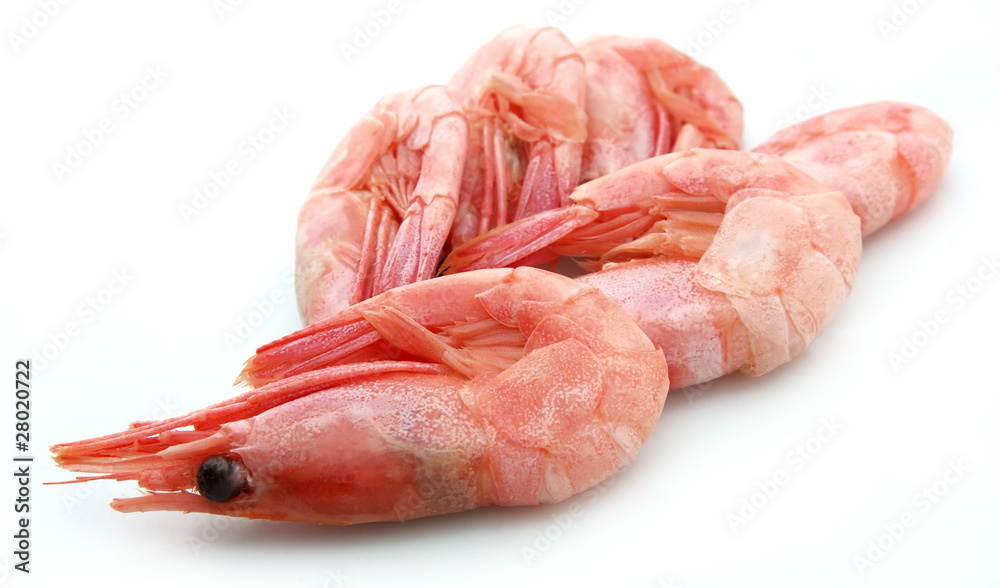 Shrimps Shrimps
