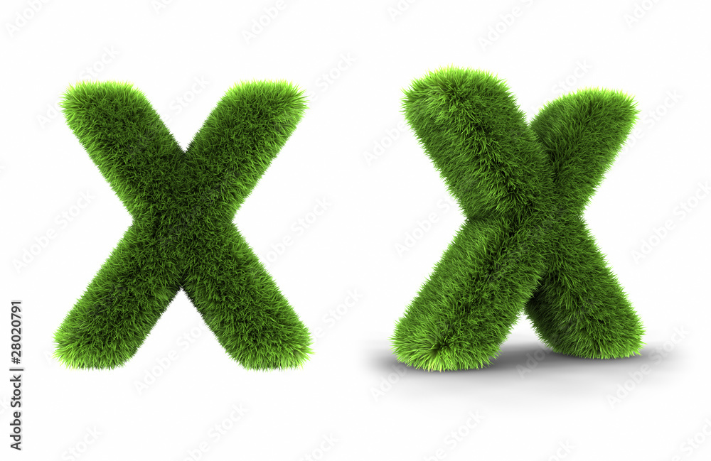 Grass Letter X Grass Letter X