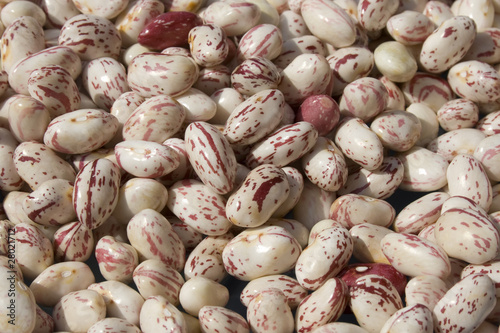 Heap of pinto beans - Italian Borlotto Bean