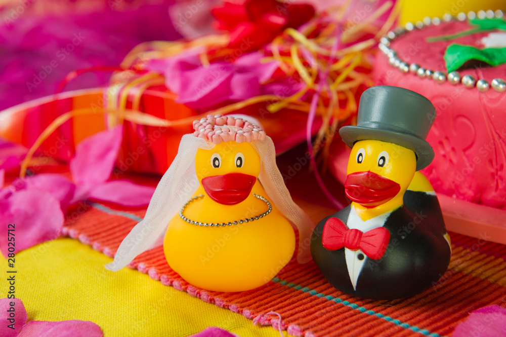 Wedding duck couple Wedding duck couple