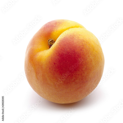 bright apricot close-up