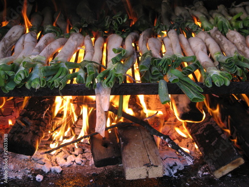 Calçots al foc