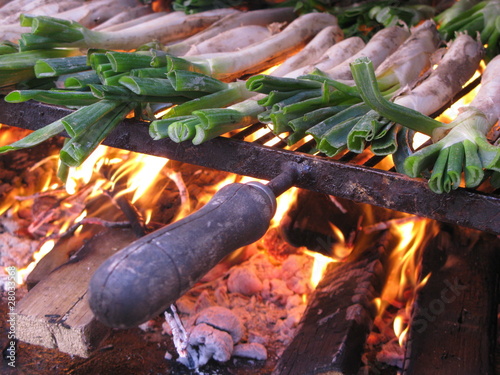 Calçots