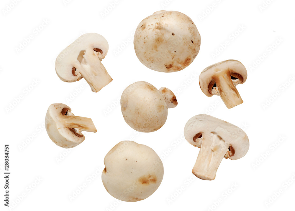 Fresh raw mushroom (champignon) on white background Fresh raw mushroom (champignon) on white background