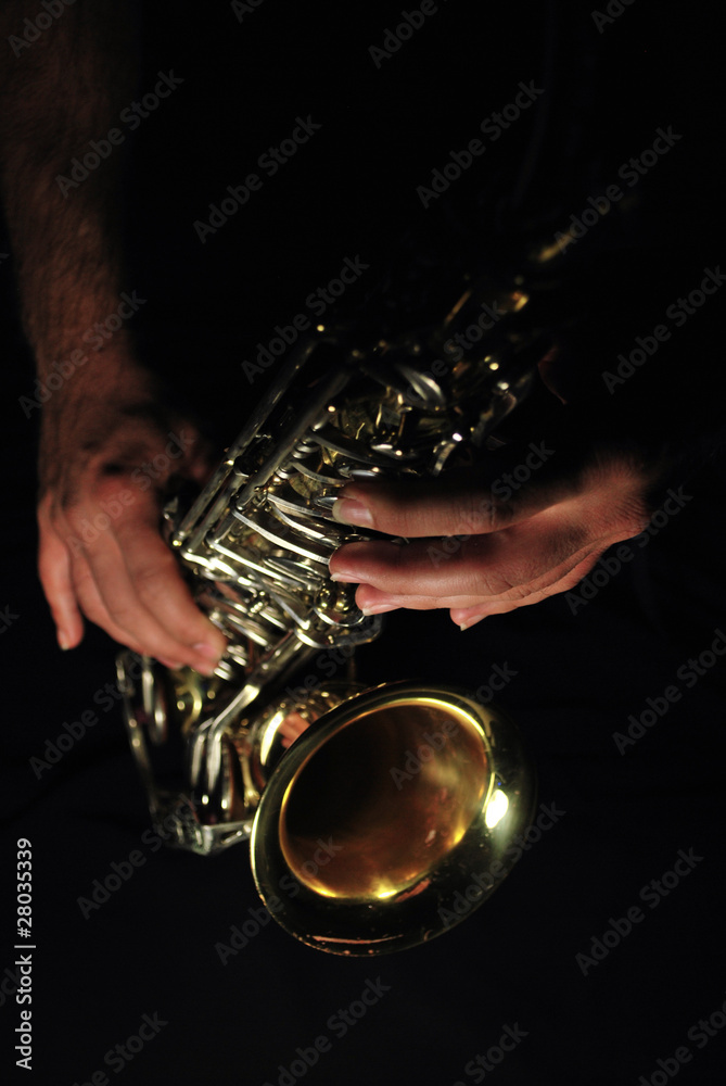 Obraz premium saxophone player