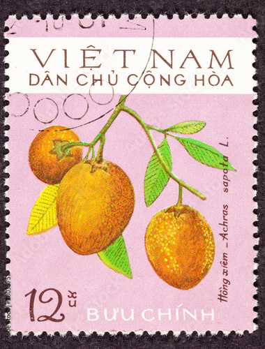 Canceled North Vietnamese Postage Stamp Sapodilla Manilkara Achr