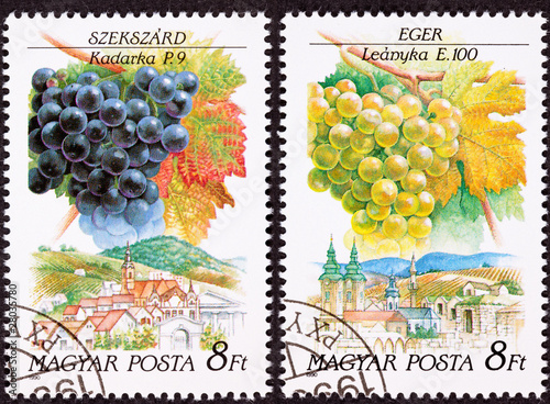 Postage Stamp Celibrating Wine Making Regions Kadarka  Leányka photo