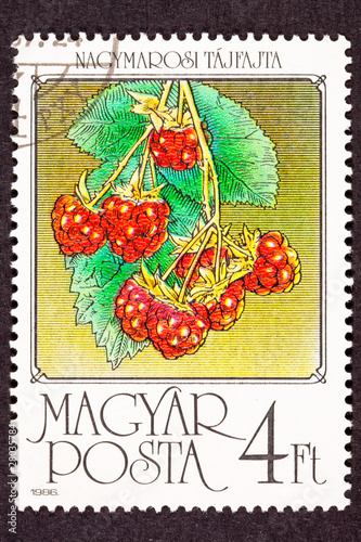 Hungarian Postage Stamp Red Raspberries Fruit Hanging on Bush