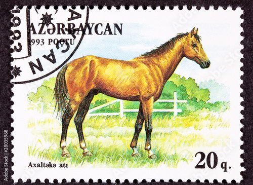 Azerbaijan Stamp Brown  Akhal-Teke Breed Horse Standing Pasture