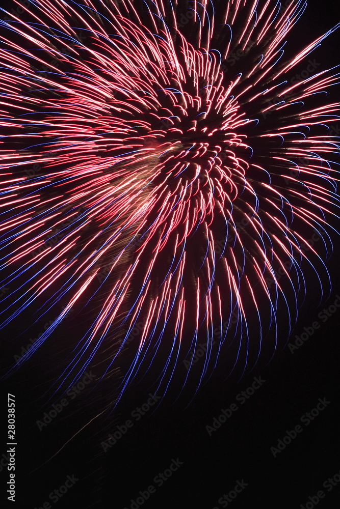Obraz premium 打ち上げ花火