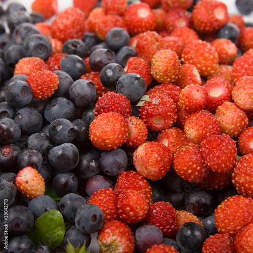 Wild strawberries and blueberries