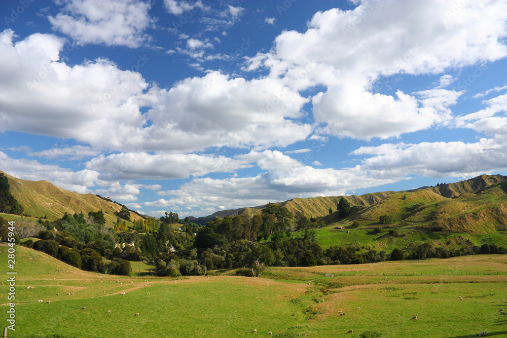 New Zealand