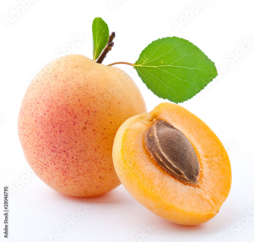 Apricot on a white background photo