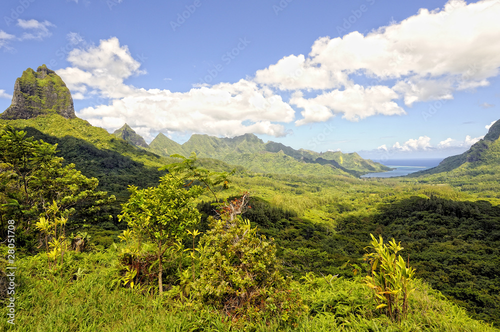 Moorea's view from Belvedere, Moorea, French Polynesia