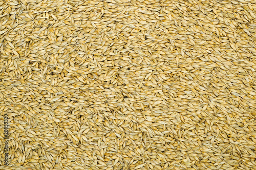 grain as good natural background