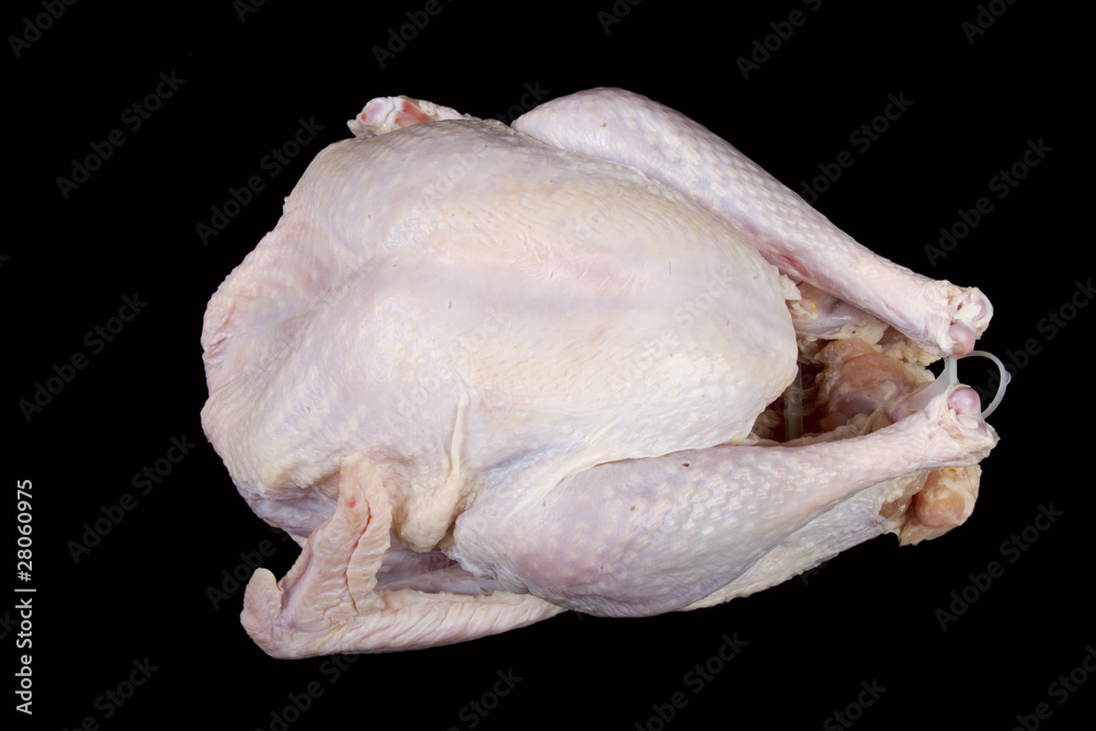 Raw Uncooked Turkey Bird Raw Uncooked Turkey Bird