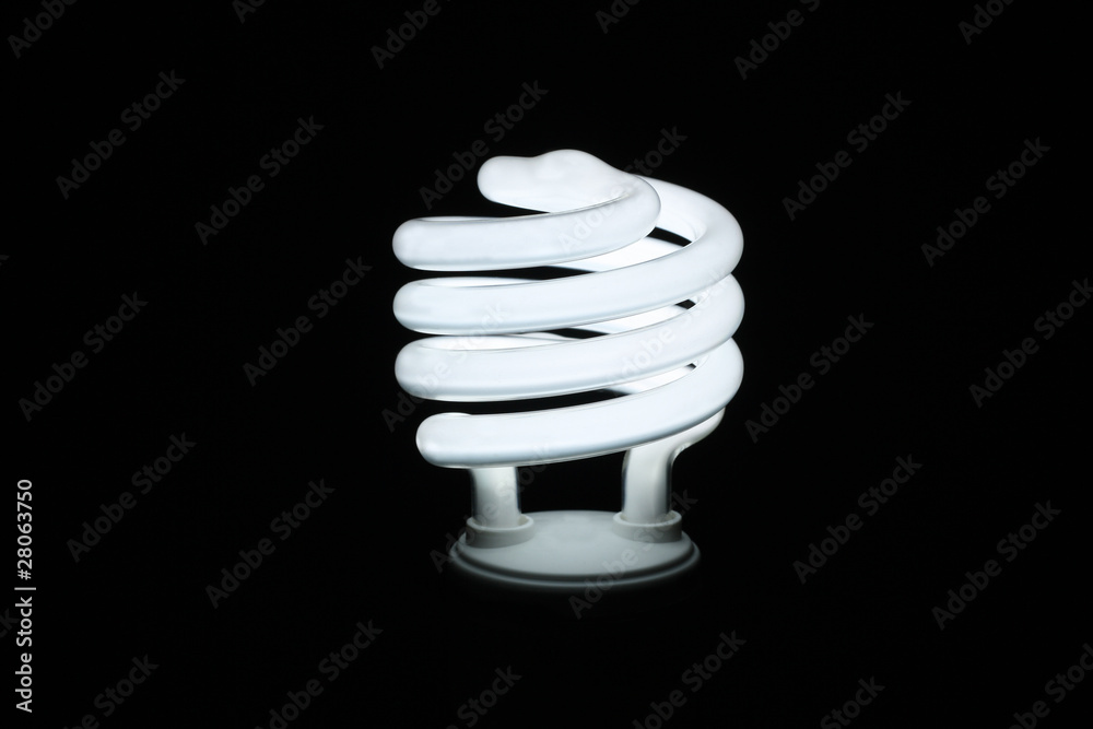 Fluorescent lightbulb Fluorescent lightbulb