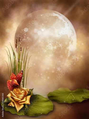Romantyczne tło z księżycem i różą