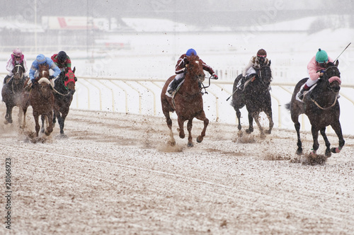 Fototapet Winter horse racing