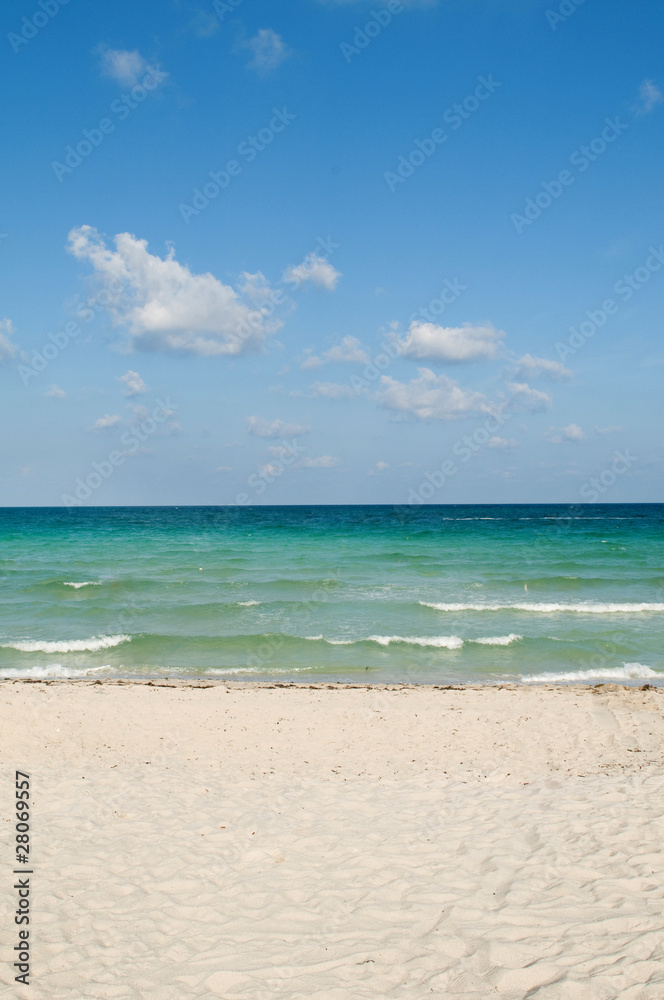 Sand beach on the bright summer day