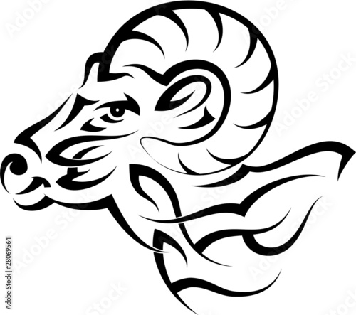 tattoo ram, Mountain Goat